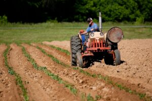 Agriculture